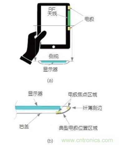 (a)側(cè)剖視圖描述；(b)電極焦點(diǎn)區(qū)域描述