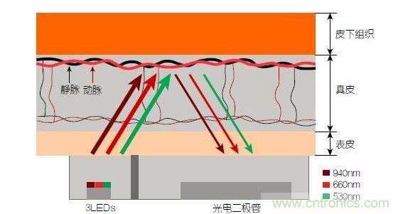 反射光脈搏測(cè)量原理。傳感器發(fā)出的光透過皮膚和組織，一部分被吸收，一部分被反射回檢測(cè)器。因?yàn)閯?dòng)脈中的血流量隨心臟的每次跳動(dòng)會(huì)有所變化，因此光線被吸收的量以及檢測(cè)器收到的信號(hào)強(qiáng)度也會(huì)隨之發(fā)生改變。綠光可以在手腕處提供最佳結(jié)果，而紅光和紅外光一般用于手指測(cè)量。 8