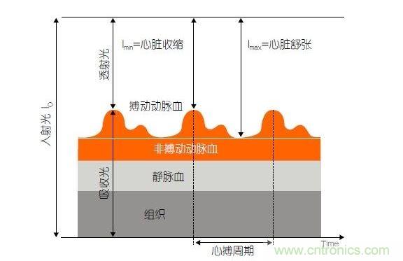 PPG測(cè)量中檢測(cè)器信號(hào)的產(chǎn)生。照射皮膚的光線(I0)被靜脈血或動(dòng)脈血吸收，或反射回檢測(cè)器。信號(hào)的變化分量對(duì)應(yīng)著與心跳同步變化的動(dòng)脈血流量。這個(gè)信號(hào)的變化周期指示了脈率。最小和最大檢測(cè)器信號(hào)的比值(光電流Imin/Imax)為判斷血氧飽和度提供了依據(jù)。