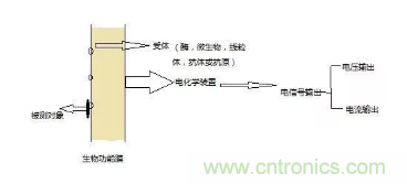 仿生傳感器的定義、原理、分類及應(yīng)用