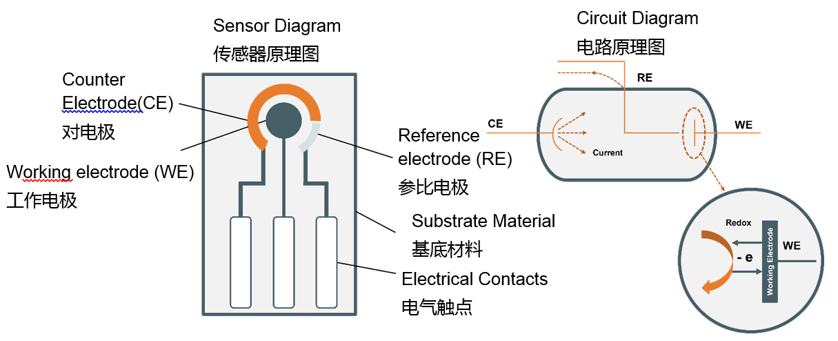 電化學感知技術的新時代